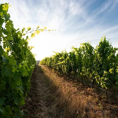 ファームステイ Podere Paglieri モンテスペルトリ